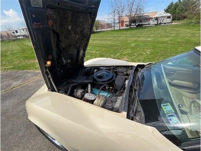 1979 Chevrolet Corvette (CC-2065159) for sale in Carlisle, Pennsylvania