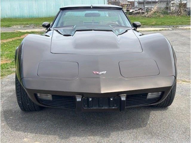 1979 Chevrolet Corvette (CC-2065162) for sale in Carlisle, Pennsylvania