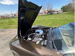 1979 Chevrolet Corvette (CC-2065162) for sale in Carlisle, Pennsylvania