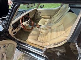 1979 Chevrolet Corvette (CC-2065162) for sale in Carlisle, Pennsylvania
