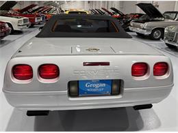 1996 Chevrolet Corvette C4 (CC-2065330) for sale in Watford, Ontario