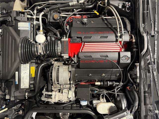 1996 Chevrolet Corvette C4 (CC-2065330) for sale in Watford, Ontario