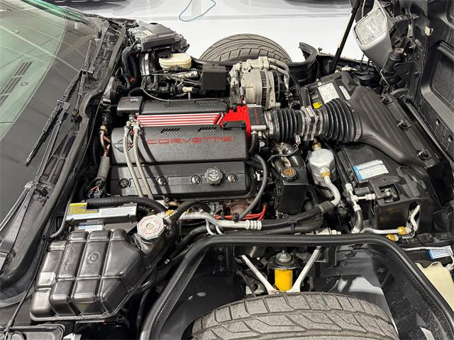 1996 Chevrolet Corvette C4 (CC-2065330) for sale in Watford, Ontario