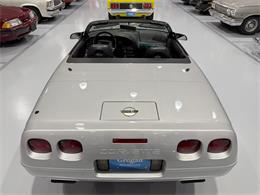 1996 Chevrolet Corvette C4 (CC-2065330) for sale in Watford, Ontario