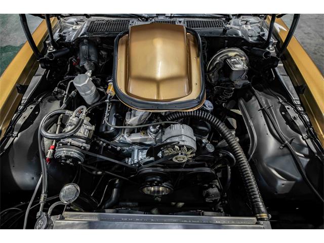 1978 Pontiac Firebird Trans Am (CC-2065339) for sale in Sherman, Texas