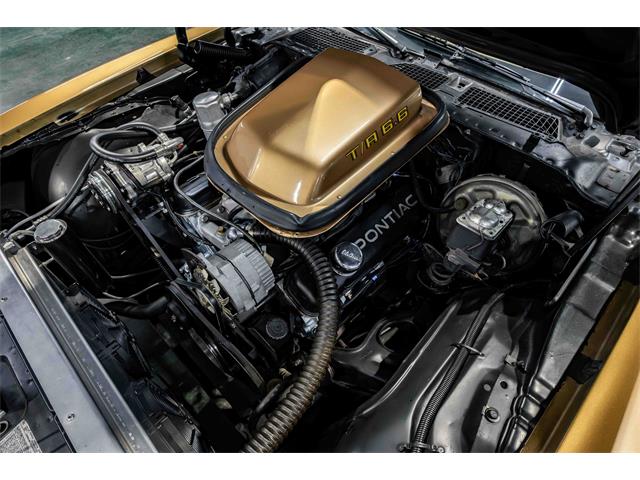 1978 Pontiac Firebird Trans Am (CC-2065339) for sale in Sherman, Texas