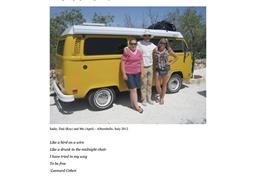 1976 Volkswagen Westfalia Camper (CC-2065348) for sale in Grass Valley, California