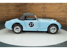 1959 Austin-Healey Sprite (CC-2065349) for sale in Waalwijk, Noord Brabant