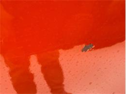 1969 Chevrolet Corvette (CC-2065351) for sale in Morgantown, Pennsylvania