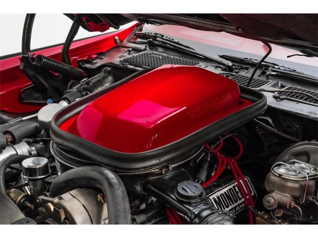 1979 Pontiac Firebird (CC-2065364) for sale in Ft Worth, Texas