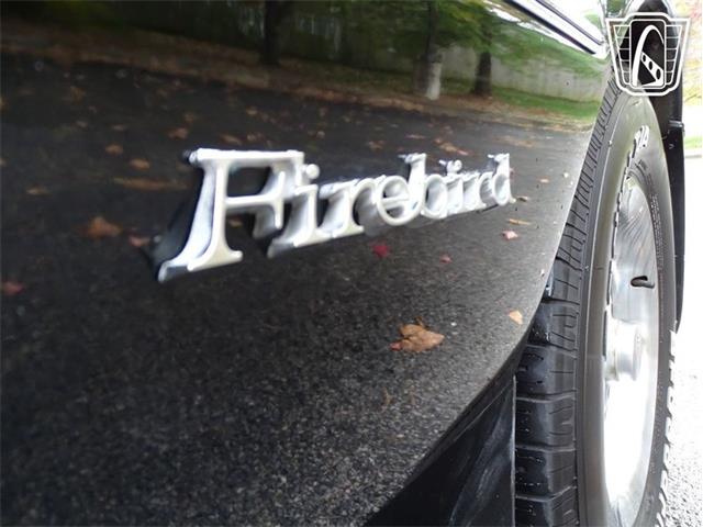 1981 Pontiac Firebird (CC-2065404) for sale in O'Fallon, Illinois