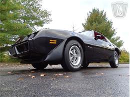 1981 Pontiac Firebird (CC-2065404) for sale in O'Fallon, Illinois