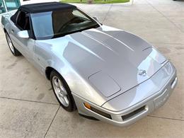 1996 Chevrolet Corvette (CC-2065413) for sale in Bradington, Florida