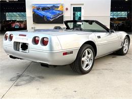 1996 Chevrolet Corvette (CC-2065413) for sale in Bradington, Florida