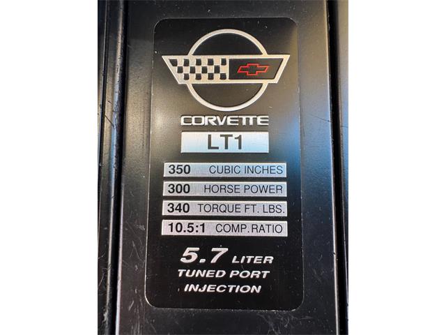 1996 Chevrolet Corvette (CC-2065413) for sale in Bradington, Florida