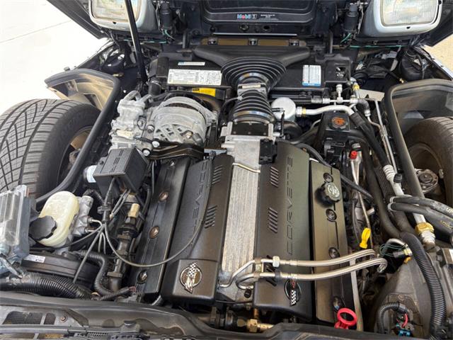 1996 Chevrolet Corvette (CC-2065413) for sale in Bradington, Florida