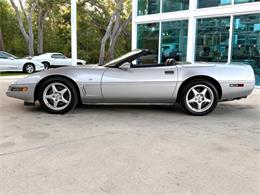 1996 Chevrolet Corvette (CC-2065413) for sale in Bradington, Florida