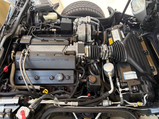1996 Chevrolet Corvette (CC-2065413) for sale in Bradington, Florida