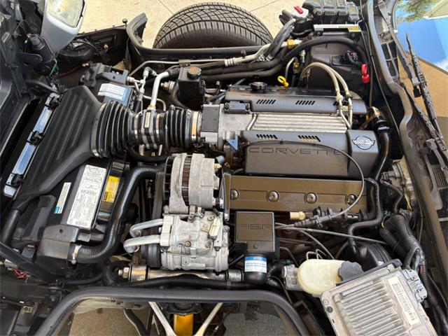 1996 Chevrolet Corvette (CC-2065413) for sale in Bradington, Florida