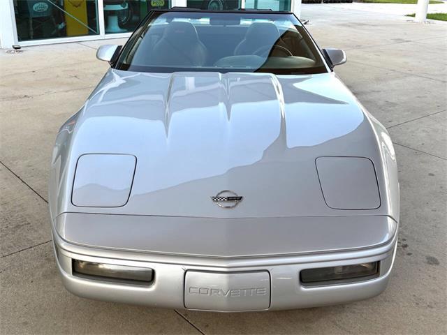 1996 Chevrolet Corvette (CC-2065413) for sale in Bradington, Florida