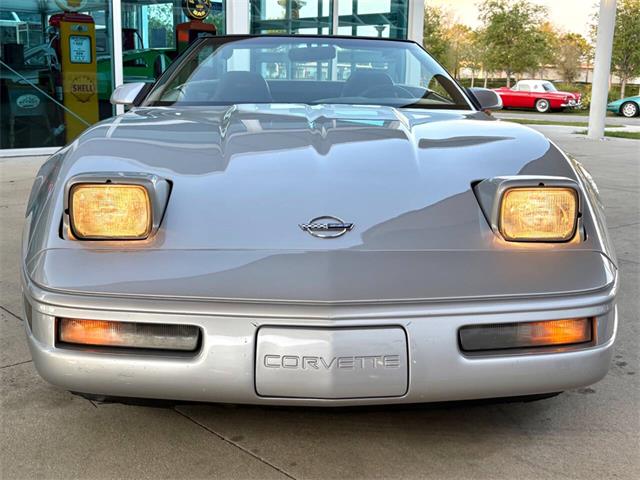 1996 Chevrolet Corvette (CC-2065413) for sale in Bradenton, Florida