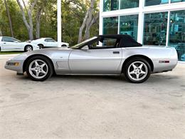 1996 Chevrolet Corvette (CC-2065413) for sale in Bradenton, Florida