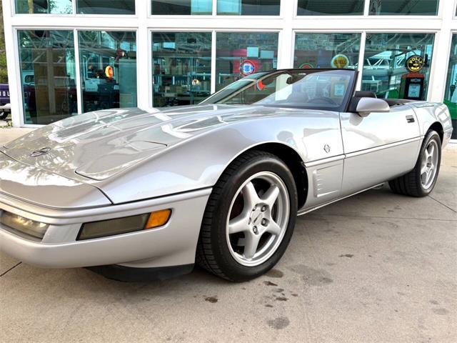 1996 Chevrolet Corvette (CC-2065413) for sale in Bradenton, Florida