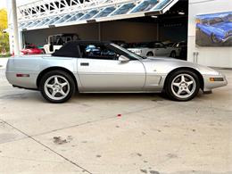 1996 Chevrolet Corvette (CC-2065413) for sale in Bradenton, Florida