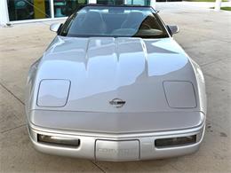 1996 Chevrolet Corvette (CC-2065413) for sale in Bradenton, Florida