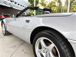 1996 Chevrolet Corvette (CC-2065413) for sale in Bradenton, Florida