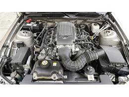 2008 Ford Mustang (CC-2065417) for sale in Mankato, Minnesota