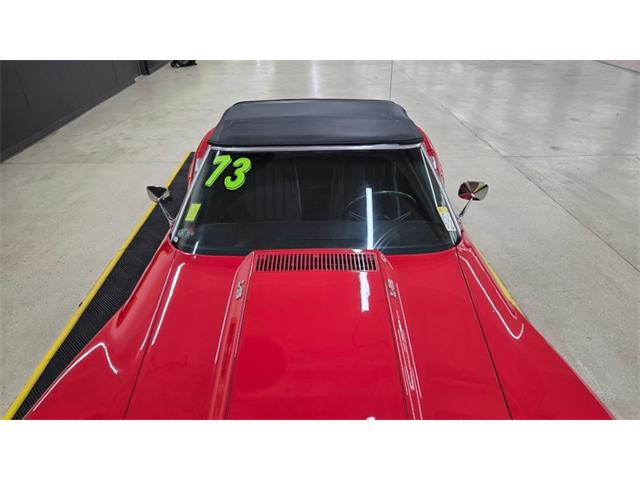 1973 Chevrolet Corvette (CC-2065418) for sale in Mankato, Minnesota