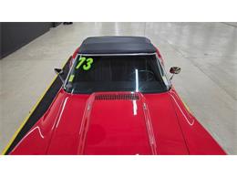 1973 Chevrolet Corvette (CC-2065418) for sale in Mankato, Minnesota