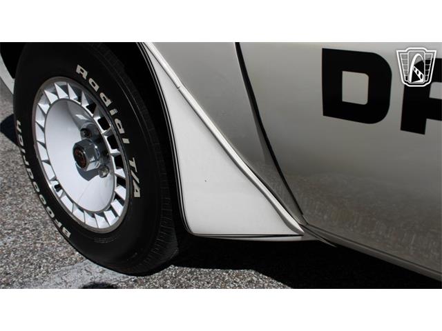 1981 Pontiac Firebird Trans Am (CC-2065424) for sale in Ruskin, Florida