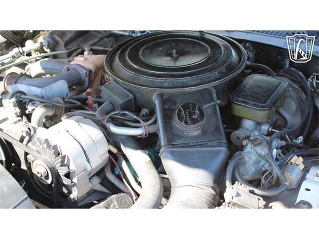 1981 Pontiac Firebird Trans Am (CC-2065424) for sale in Ruskin, Florida