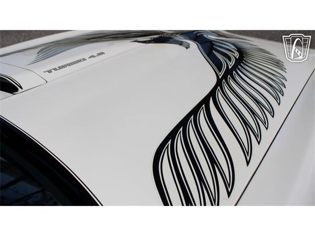 1981 Pontiac Firebird Trans Am (CC-2065424) for sale in Ruskin, Florida