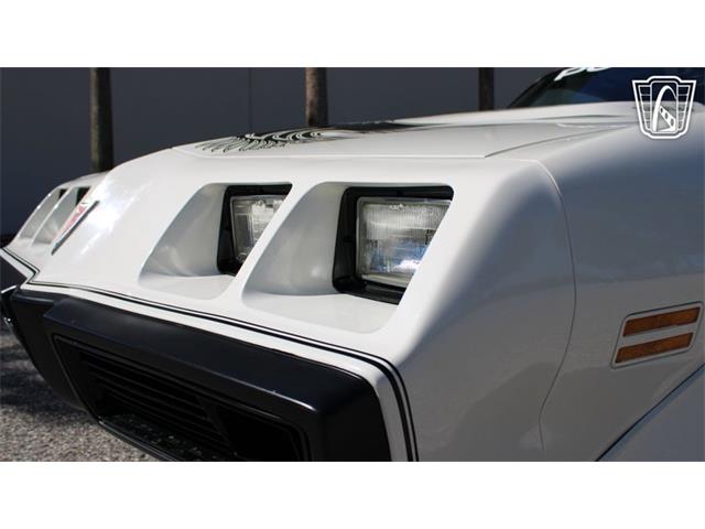 1981 Pontiac Firebird Trans Am (CC-2065424) for sale in Ruskin, Florida