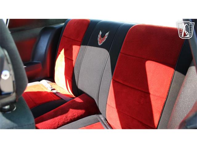 1981 Pontiac Firebird Trans Am (CC-2065424) for sale in Ruskin, Florida