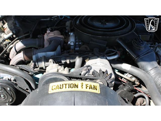 1981 Pontiac Firebird Trans Am (CC-2065424) for sale in Ruskin, Florida