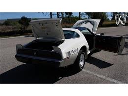 1981 Pontiac Firebird Trans Am (CC-2065424) for sale in Ruskin, Florida