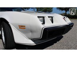 1981 Pontiac Firebird Trans Am (CC-2065424) for sale in Ruskin, Florida