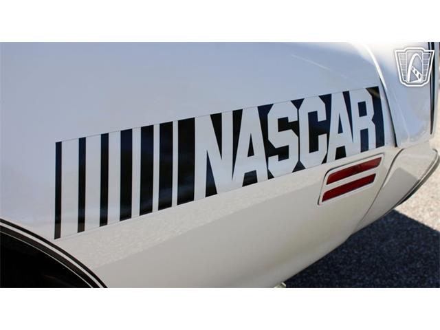 1981 Pontiac Firebird Trans Am (CC-2065424) for sale in Ruskin, Florida