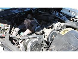 1981 Pontiac Firebird Trans Am (CC-2065424) for sale in Ruskin, Florida