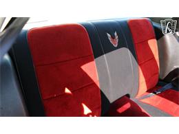 1981 Pontiac Firebird Trans Am (CC-2065424) for sale in Ruskin, Florida