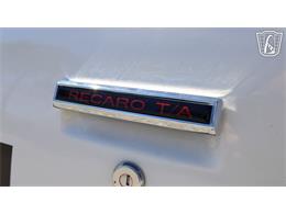 1981 Pontiac Firebird Trans Am (CC-2065424) for sale in Ruskin, Florida