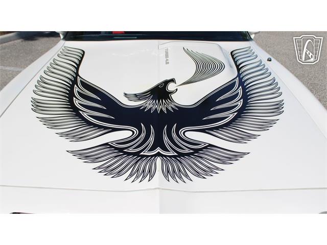 1981 Pontiac Firebird Trans Am (CC-2065424) for sale in Ruskin, Florida