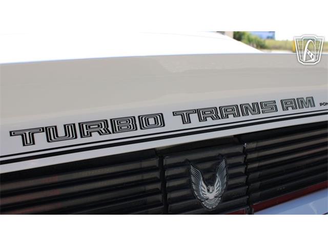 1981 Pontiac Firebird Trans Am (CC-2065424) for sale in Ruskin, Florida