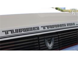 1981 Pontiac Firebird Trans Am (CC-2065424) for sale in Ruskin, Florida