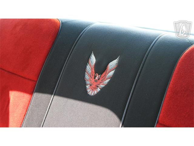 1981 Pontiac Firebird Trans Am (CC-2065424) for sale in Ruskin, Florida