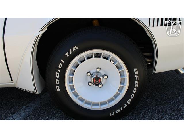 1981 Pontiac Firebird Trans Am (CC-2065424) for sale in Ruskin, Florida